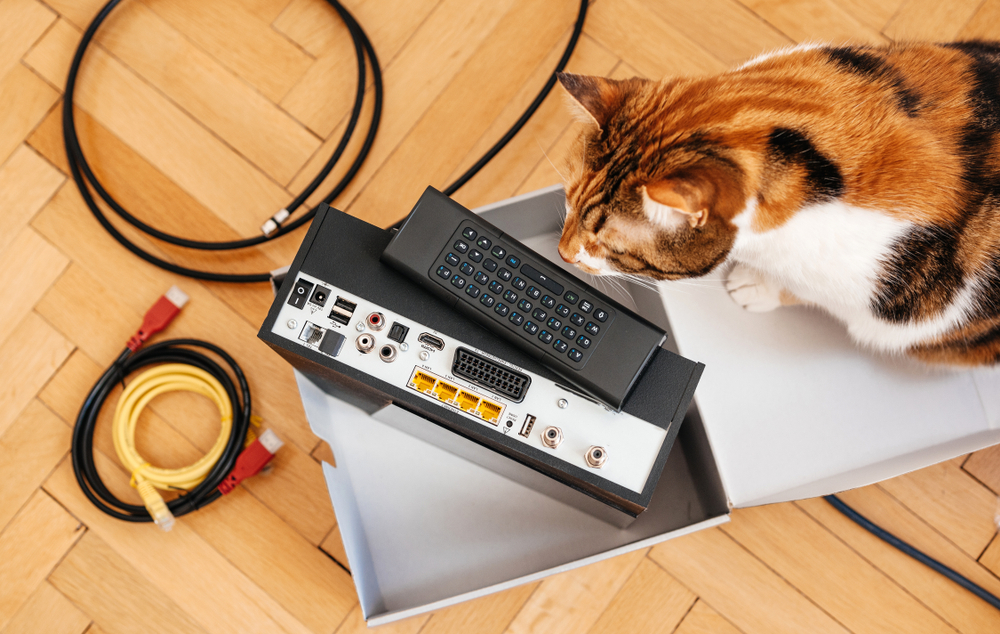 protecting electrical cords from cats