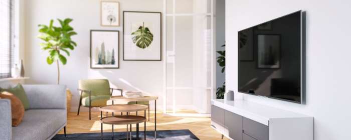 1 - Fixed Wall Mounted TV